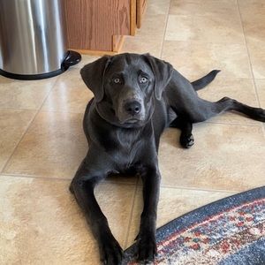 Meet your Posher, Jeff